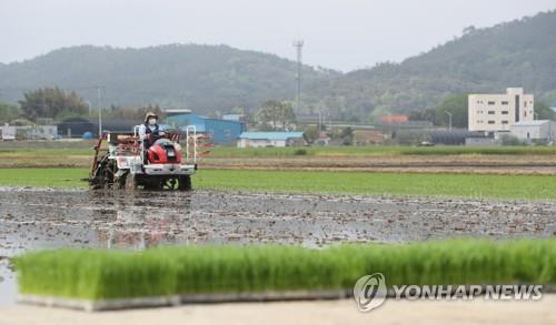 군산시의회, '신동진벼 정부보급종 퇴출 방침' 반대 건의문 채택