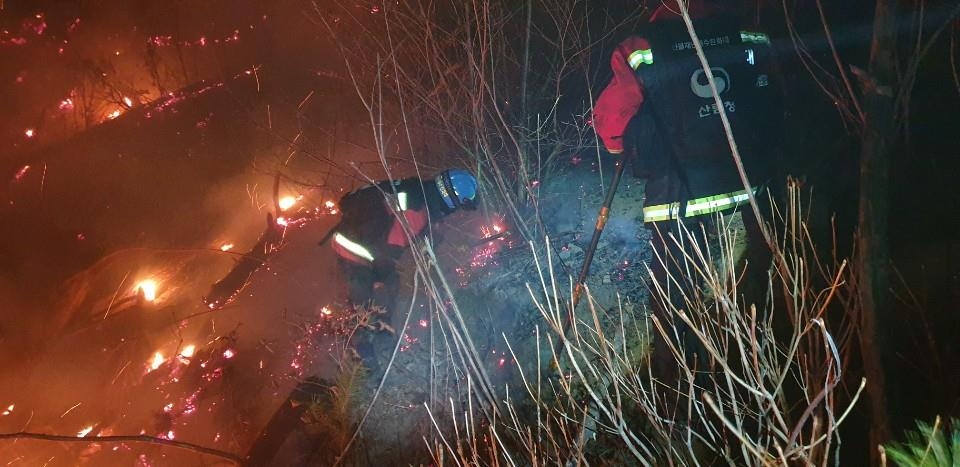 창원 의창구 야산서 산불…30분 만에 주불 진화