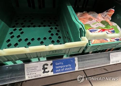 기후변화의 역습…英마트서 토마토·오이까지 공급 대란