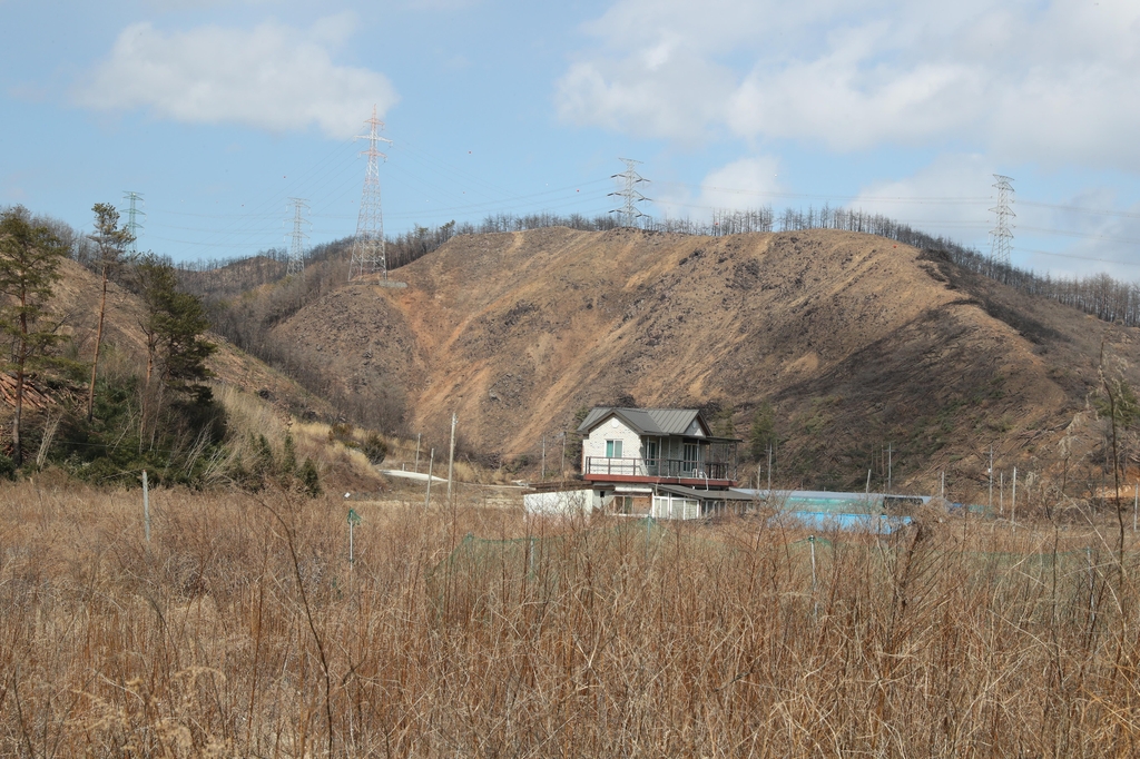 [동해안산불 1년] ② 가옥철거 마을곳곳 빈터, 피해목 벌채로 사방 민둥산