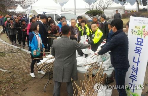 옥천군의원 "묘목엑스포 열자"vs옥천군수 "박람회부터"