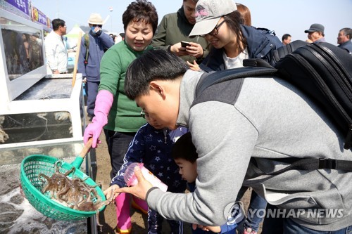 벚꽃·산해진미, 상춘객 유혹한다…전국 봄축제 4년 만에 봇물