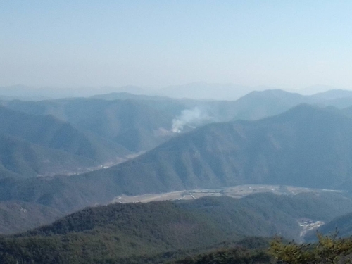 경북 안동 길안면 야산 산불…40분 만에 초기 진화(종합)