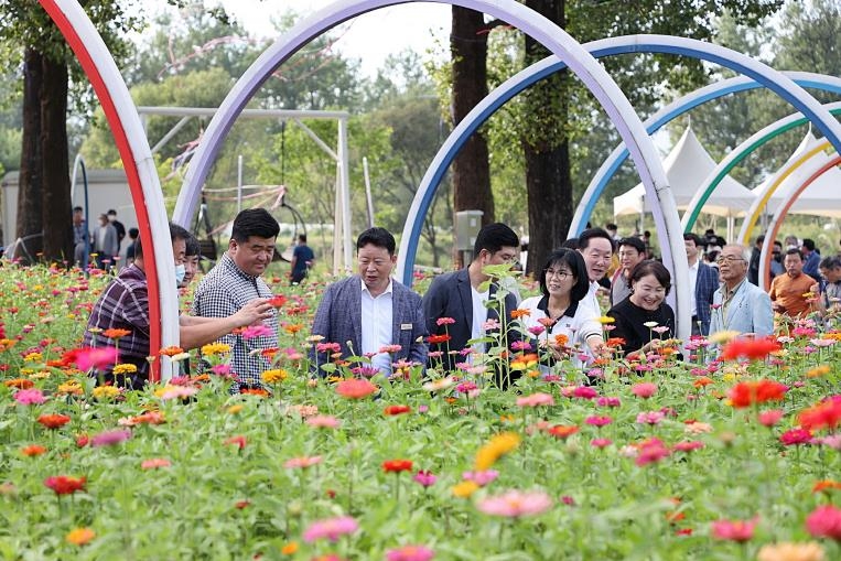 가평 자라섬 봄꽃 축제, 경기관광축제로 첫 인정