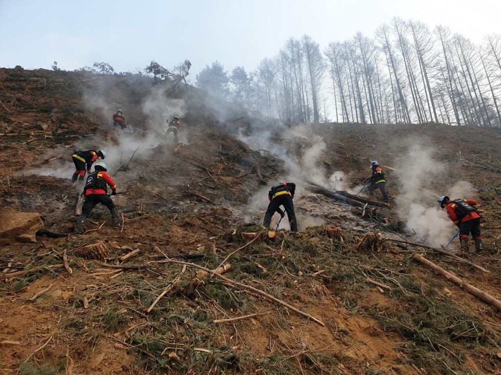 경남 진주 야산에 화재…33분 만에 큰불 진화