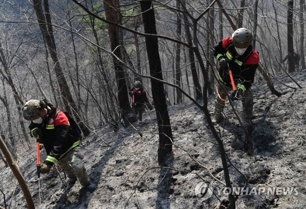 건조한 주말, 전국 곳곳서 산불…인명피해도