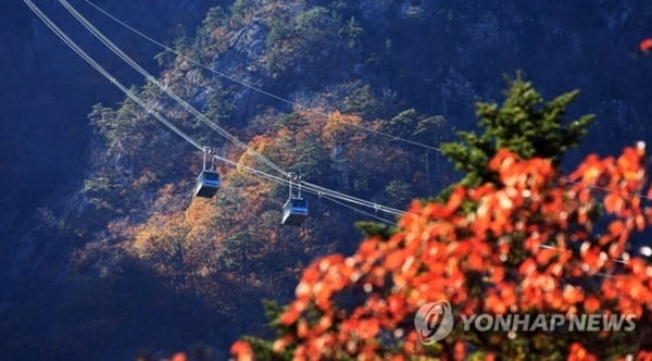 설악산 새 케이블카 들어선다…40년만 '설치 허가'