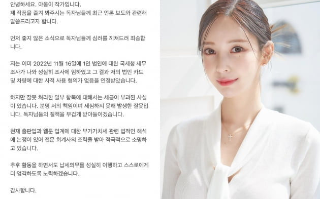 [전문] '탈세 의혹' 야옹이 작가, "일부 항목에 세금 부과…법인카드·차량 사적 사용 무혐의"