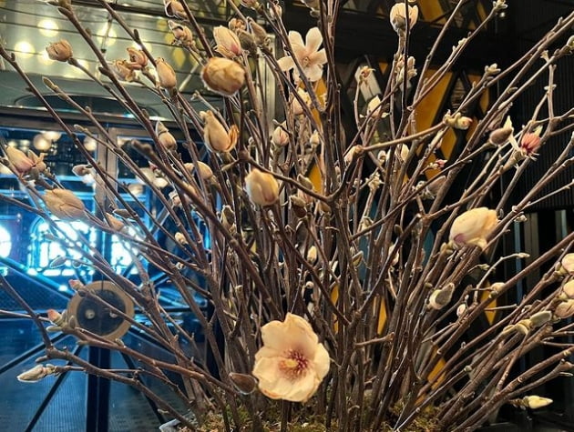 이하늬, 봄기운 만끽하는 도치맘…지나가다 툭 피어있는 꽃 찰칵