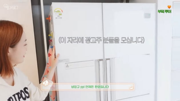 '압구정 아파트 거주' 오상진, 20년된 냉장고 쓰며 대놓고 PPL 요구('띵그리TV')