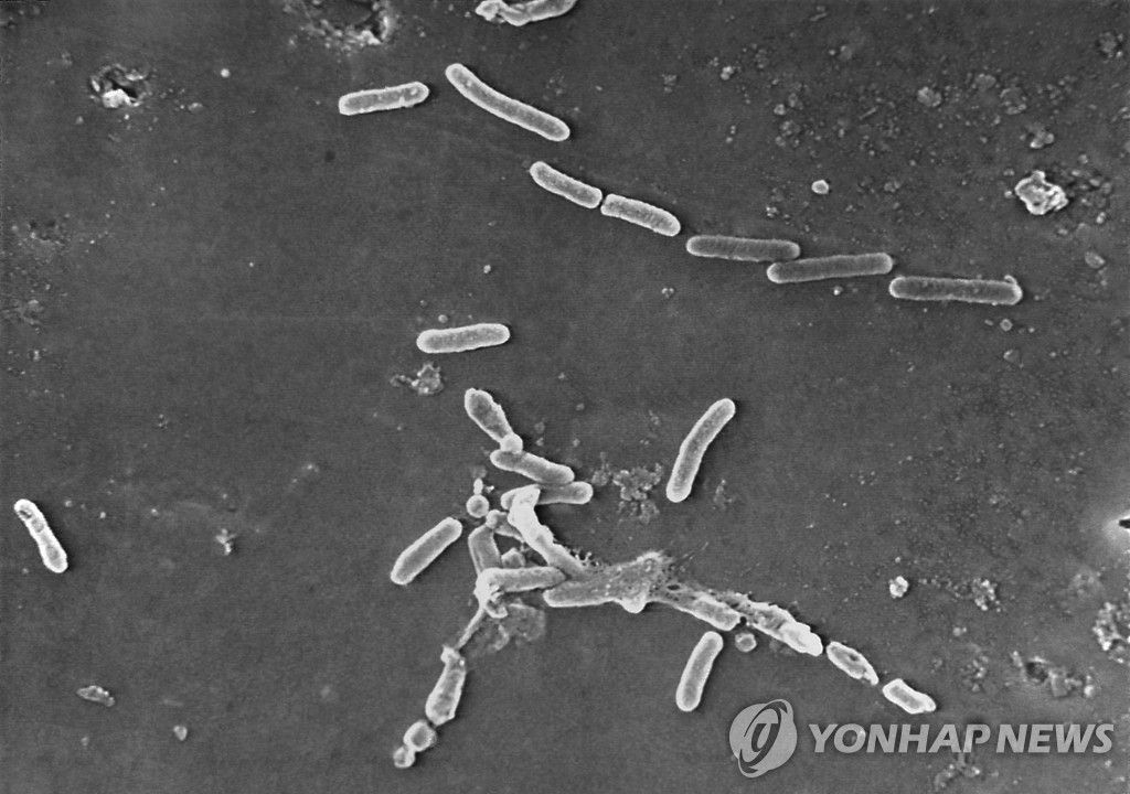 "기후변화 탓 항생제 안 통하는 슈퍼박테리아 확산"