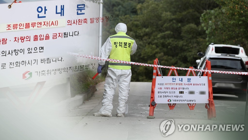 가금농장 3곳서 고병원성 AI…"집중소독 기간 내달까지 연장"