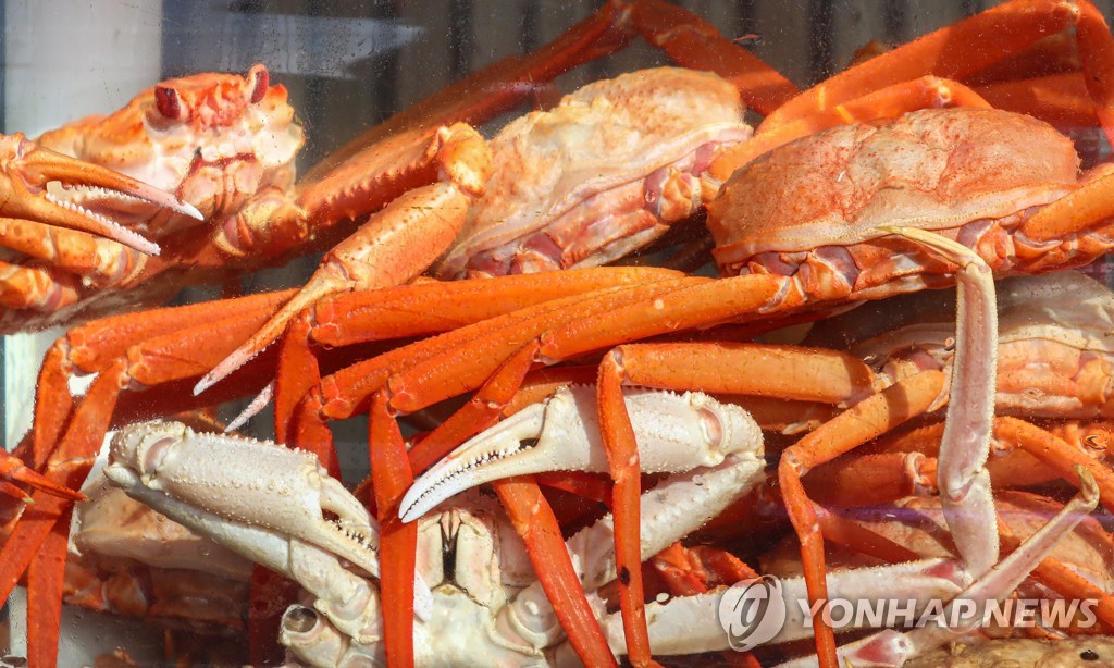 "막바지 겨울 즐기자" 쌀쌀한 주말…전국 축제장 나들이 인파