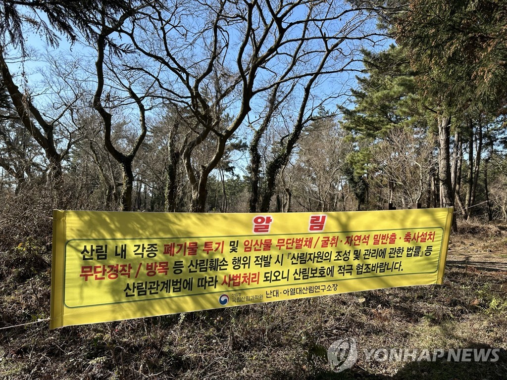 자물쇠 자르고 CCTV 가려가며 자연석 훔친 형제 등 구속(종합2보)