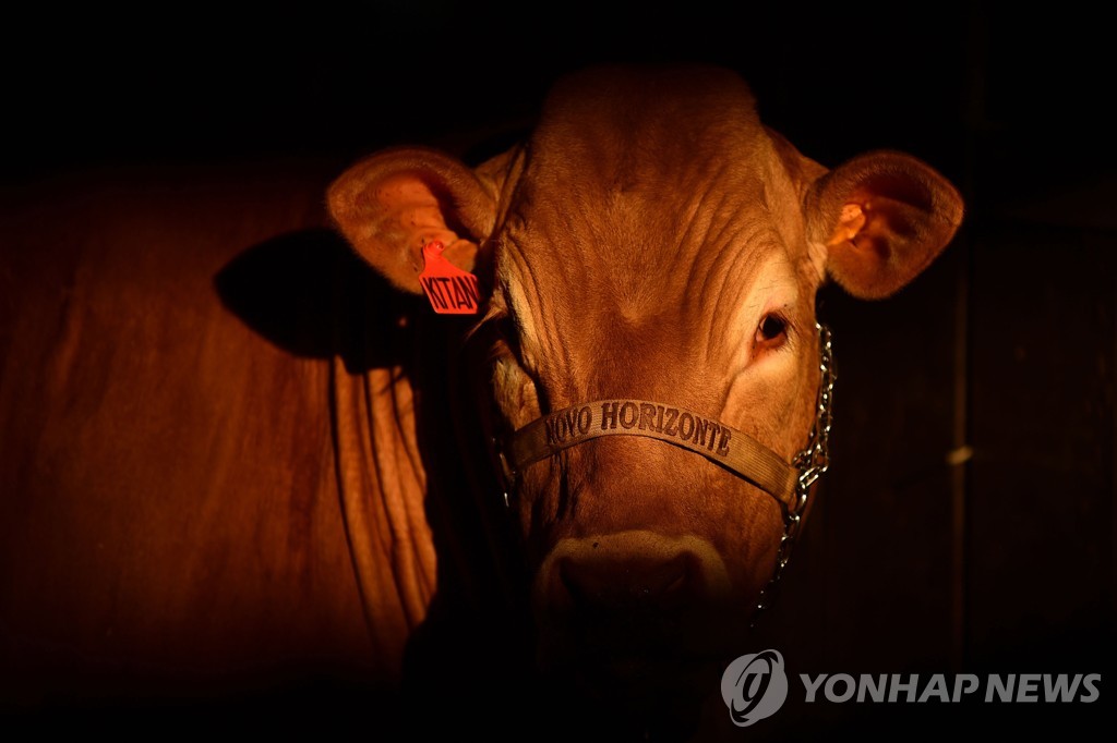 브라질서 광우병 발생…對중국 소고기 수출 잠정 중단