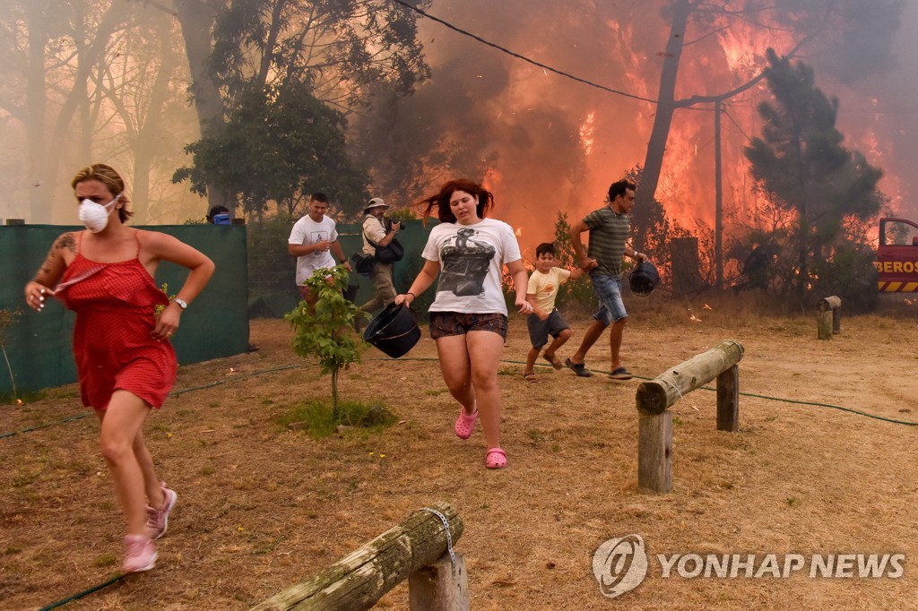 소 뜯을 풀도 부족…'축산강국' 우루과이 가뭄극복 안간힘