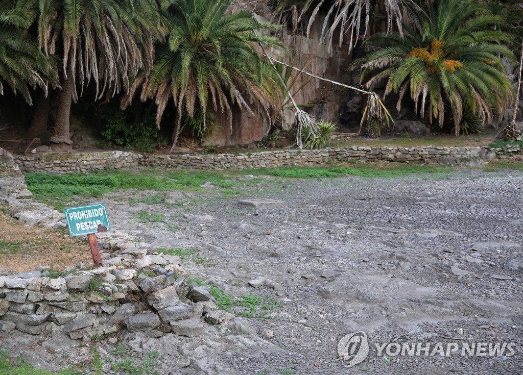 소 뜯을 풀도 부족…'축산강국' 우루과이 가뭄극복 안간힘