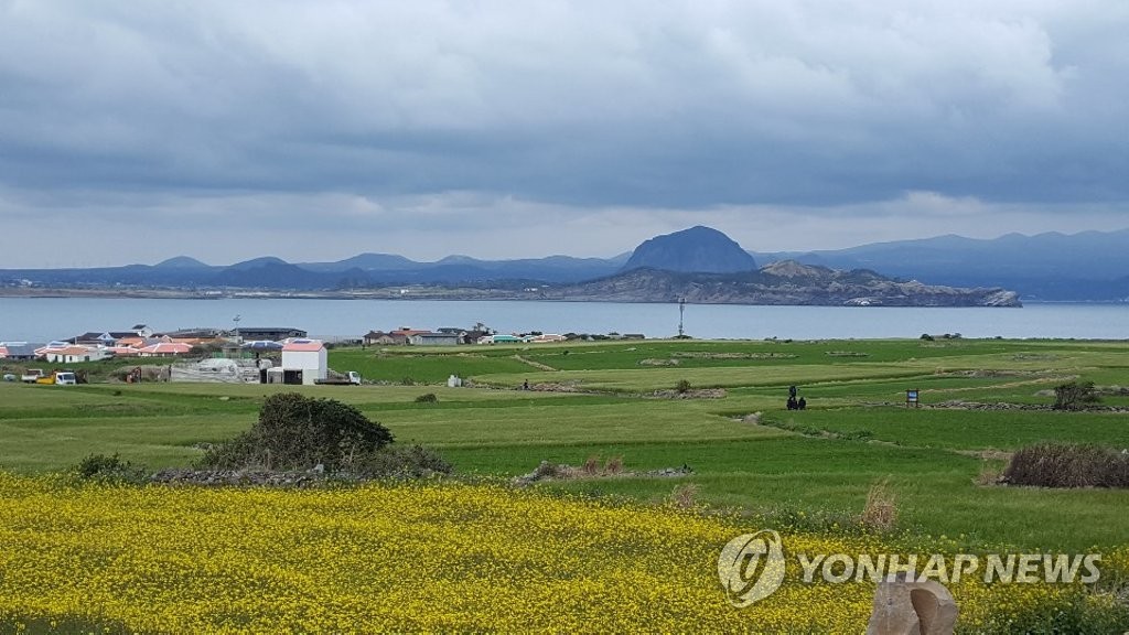 제주에 봄이 왔구나! 놓치지 말아야 할 제주관광 10선 발표