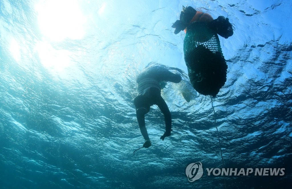 제주 앞바다서 수산물 채취하던 70대 해녀 숨져