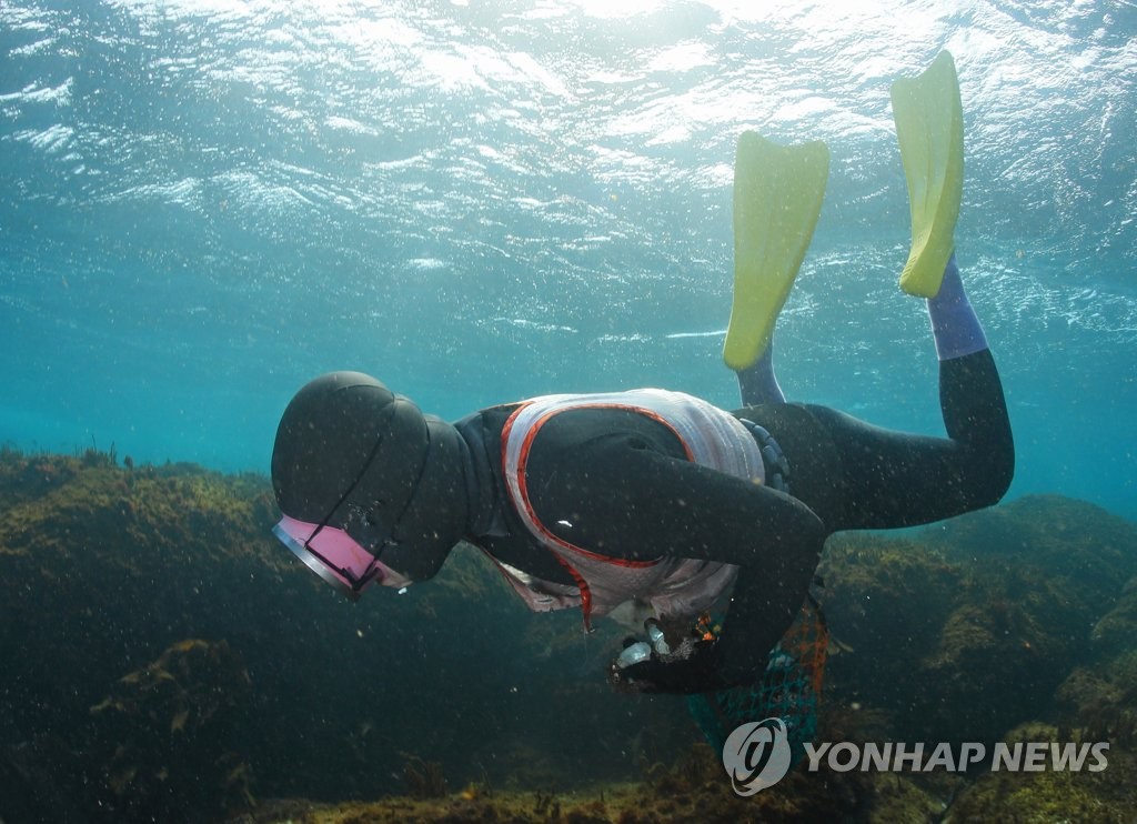 97년생 25살 '제주 막내 해녀'…문화유산 명맥 잇는다