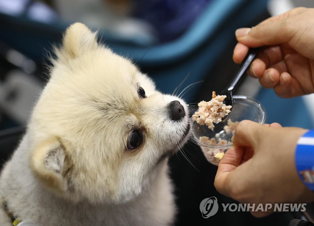 국민 4명 중 1명 반려동물 키워…비용은 월평균 15만원