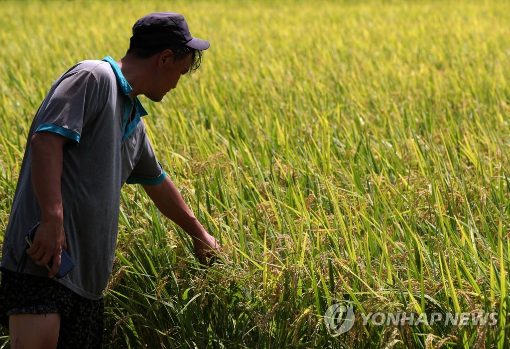 [철원소식] 농촌주택 개량사업 추진…최대 2억원 융자 지원