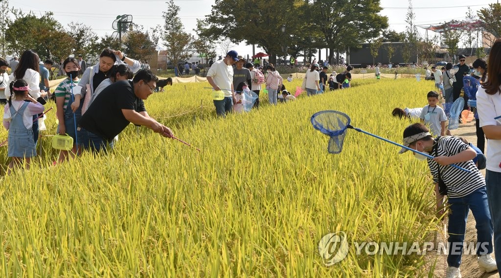 김제시, 각종 축제 전담 재단법인 설립 추진…내년 하반기 출범