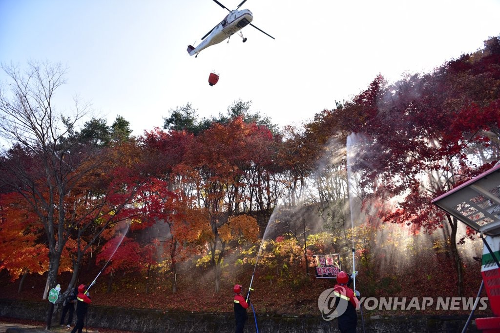 포항 기계면 산불…인력 80여명 투입 진화 중