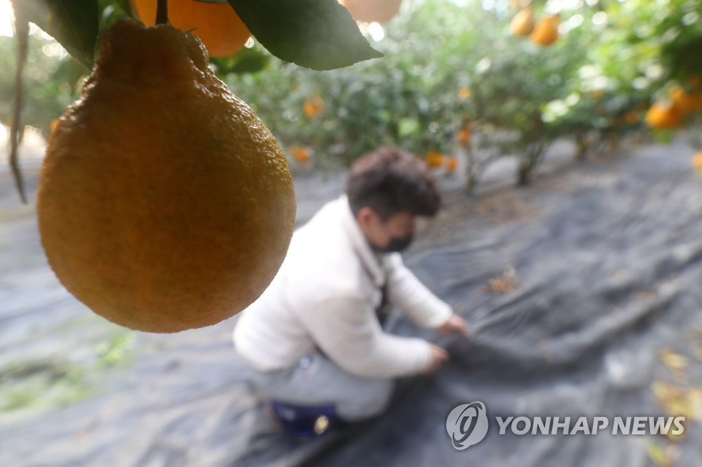 "1월 전기료, 냉골·반쪽운영으로 버틴다" 자영업자·농민 한숨