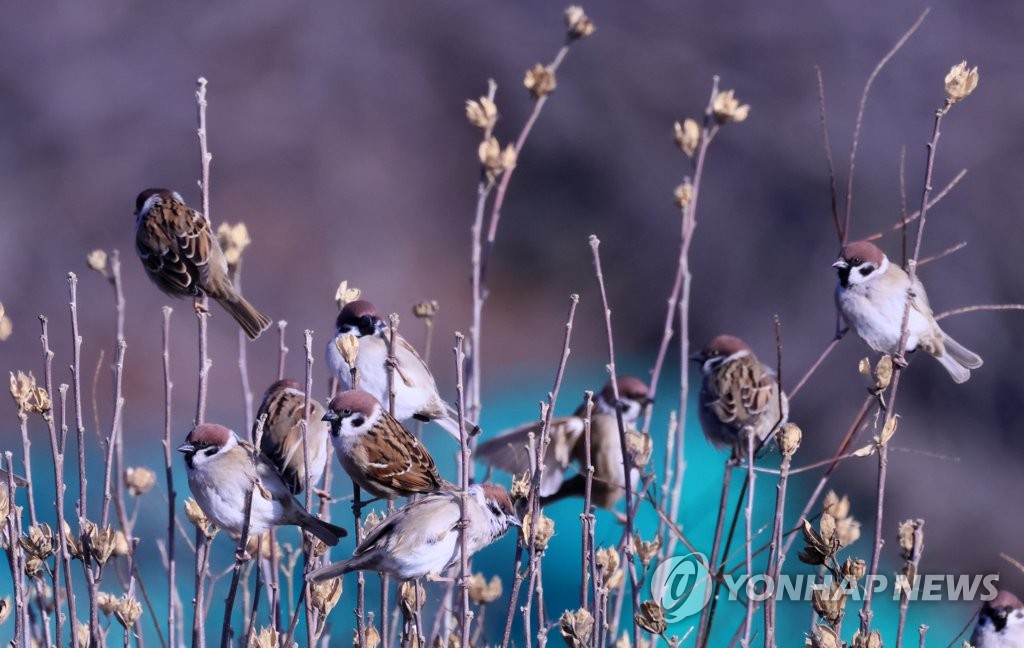 전북 구름 많다가 오후부터 흐려져…낮 최고 8도