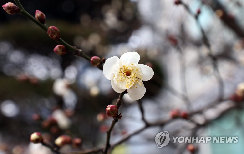 전북 구름 많다가 오후에 맑아져…낮 기온 5∼8도