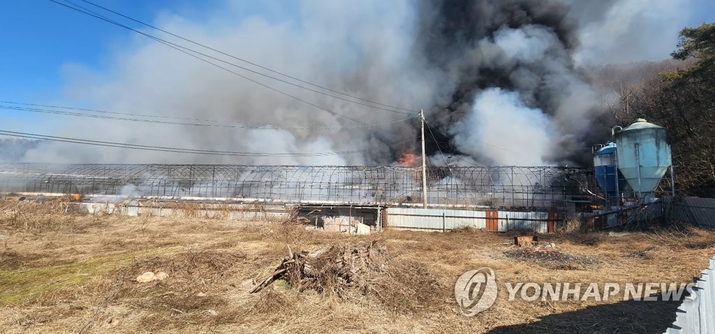 전북 순창군 양계장서 난 불 야산으로 번져…농장주도 부상