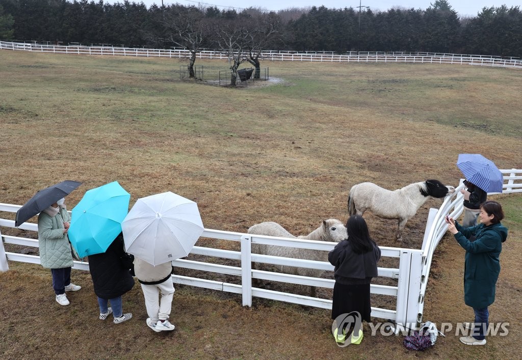 제주 흐리고 5∼20㎜ 비…산지 최대 10㎝ 눈