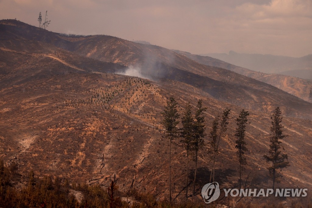 정부, 대규모 산불 피해 칠레에 10만 달러 인도적 지원