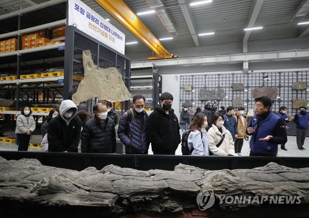 "서 있던 나무가 어떻게 화석 됐을까"…천연기념물 된 나무 화석