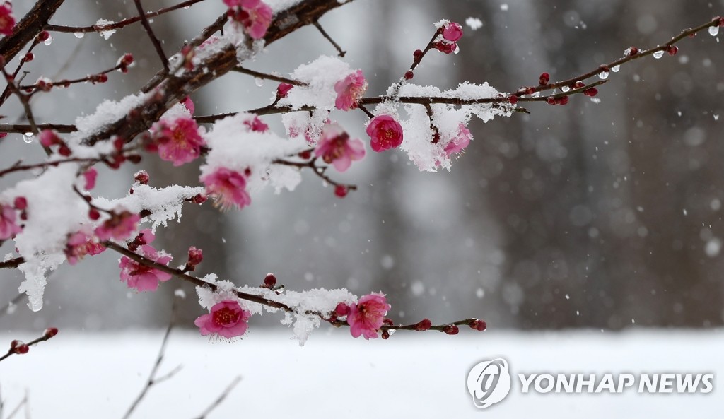 강원 영서 약한 눈 또는 비…"도로 살얼음 주의"