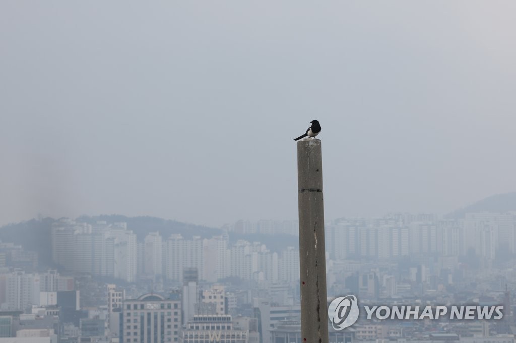 [날씨] 낮부터 차차 맑아지지만 미세먼지 유의