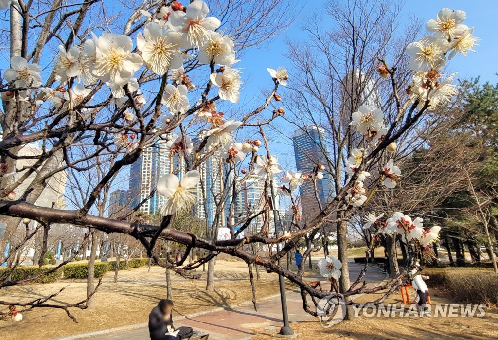 [내주날씨] 대체로 맑은 가운데 일부 지역 비…낮기온 6∼16도