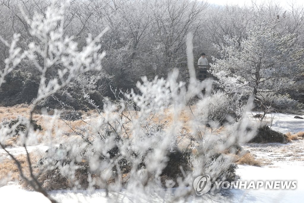 밤사이 강원영동과 경북동해안·산지 많은 눈…기온도 뚝