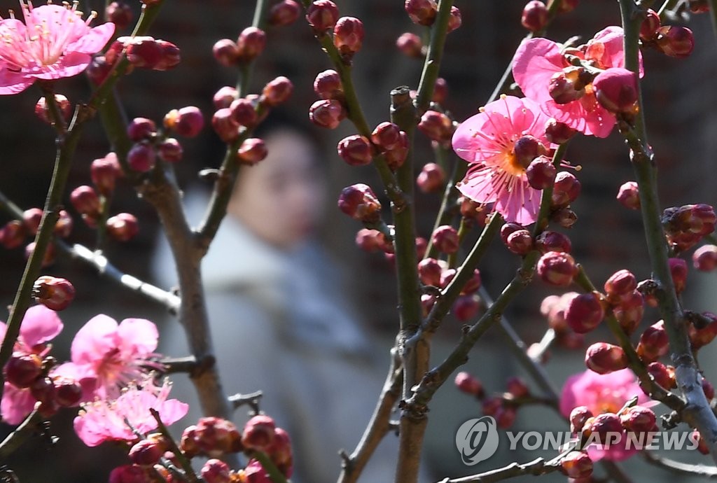 내일 태백산맥 동쪽은 많은 눈…서쪽은 짙은 먼지·안개