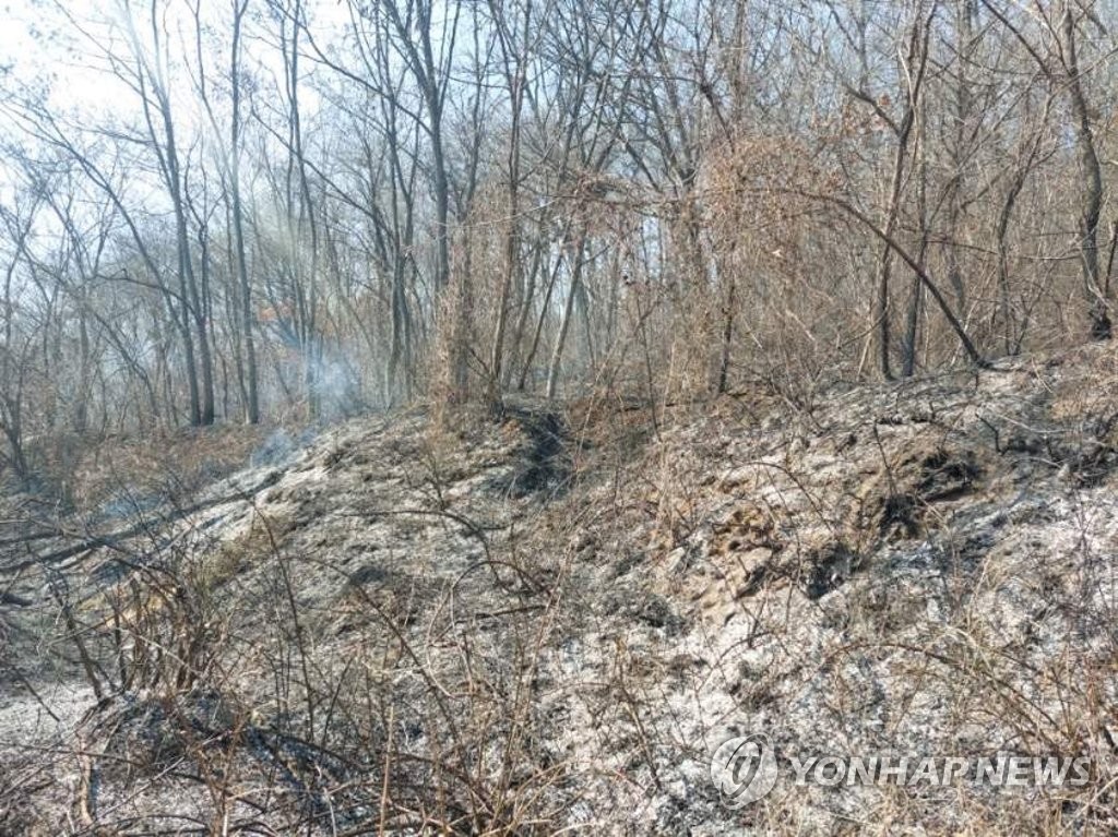 건조한 날씨 속 주말 전국 곳곳에서 산불…인명 피해도