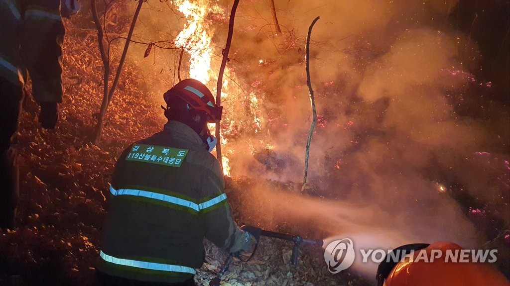 예천 '산불 2단계' 진화율 40%…경로당 등 59명 분산 대피(종합)