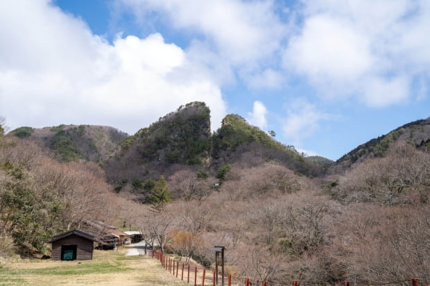 서경덕 교수 "일본 사도광산은 세계유산으로 적합하지 않아"