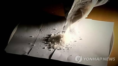 부천 노래방서 '마약 파티' 벌인 베트남인 8명 검거