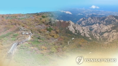 한풀 꺾인 추위…정월대보름 주말 산행 중 '삐끗' 사고 잇따라