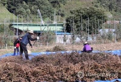 '산불 막고 환경도 보호'…익산시, 농업부산물 무료 파쇄