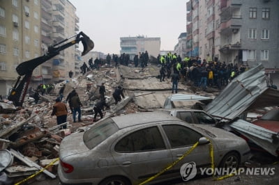  삼성·현대차 등 국내 대기업 "현지법인 피해 없어"