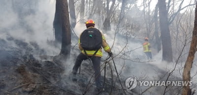 최근 10년간 대구 산불 피해 98.5%가 산불 조심 기간에 발생