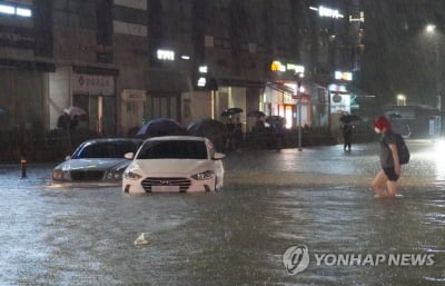 "기후변화로 더 잦은 집중호우…도시침수 대책 종합 법 필요"