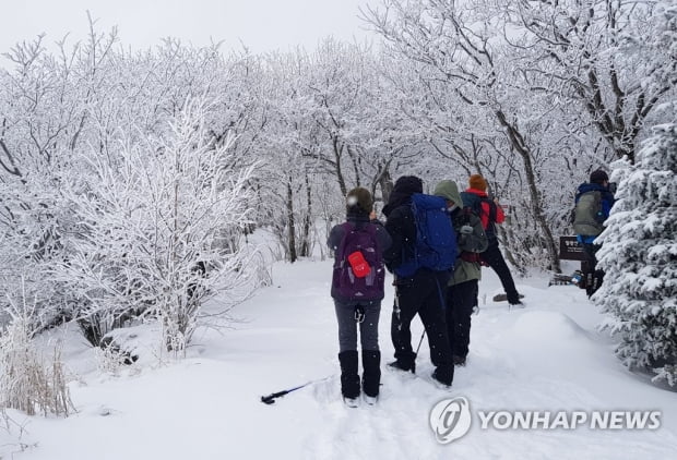 기온 '뚝' 곳곳 영하의 추위…낮 최고 2~11도